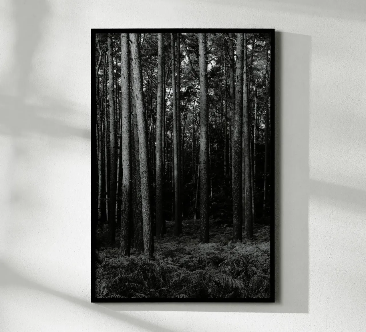 Wald carta hahnemühle da eyes & tries