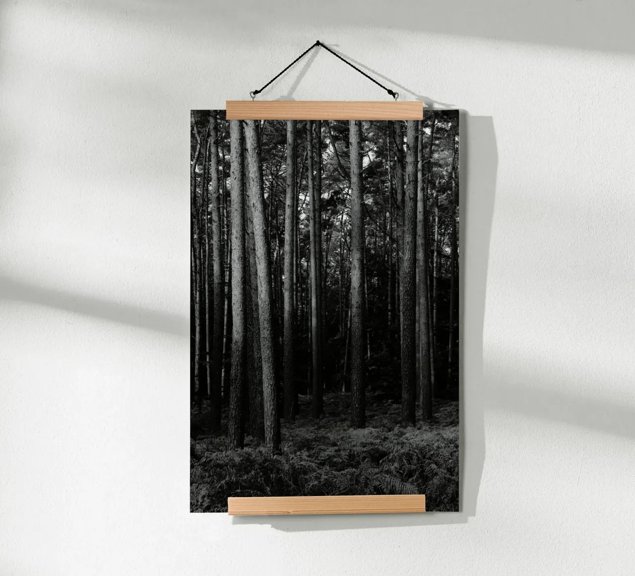 Wald carta hahnemühle da eyes & tries
