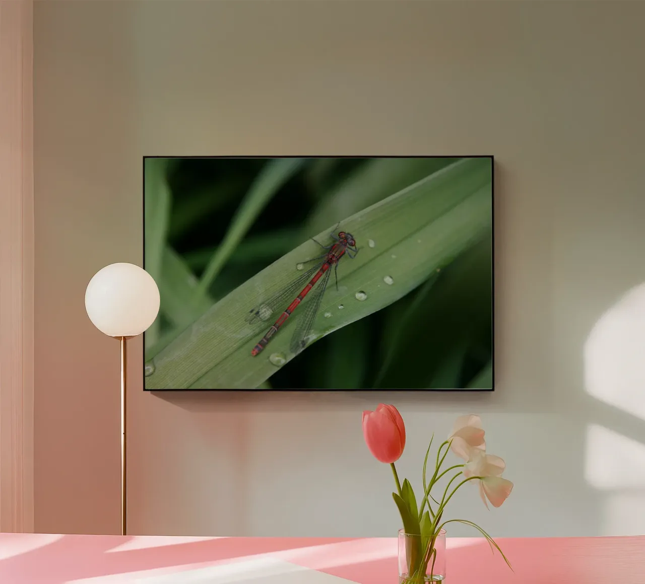 Libelle Acryl-Glas von eyes & tries