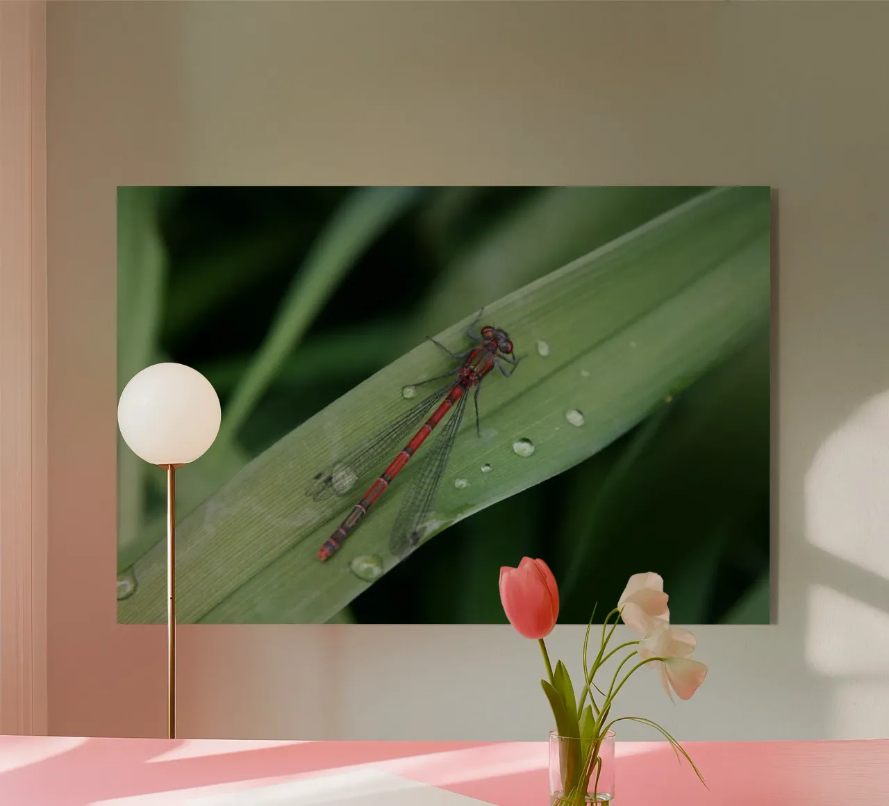 Libellula plexiglass da eyes & tries