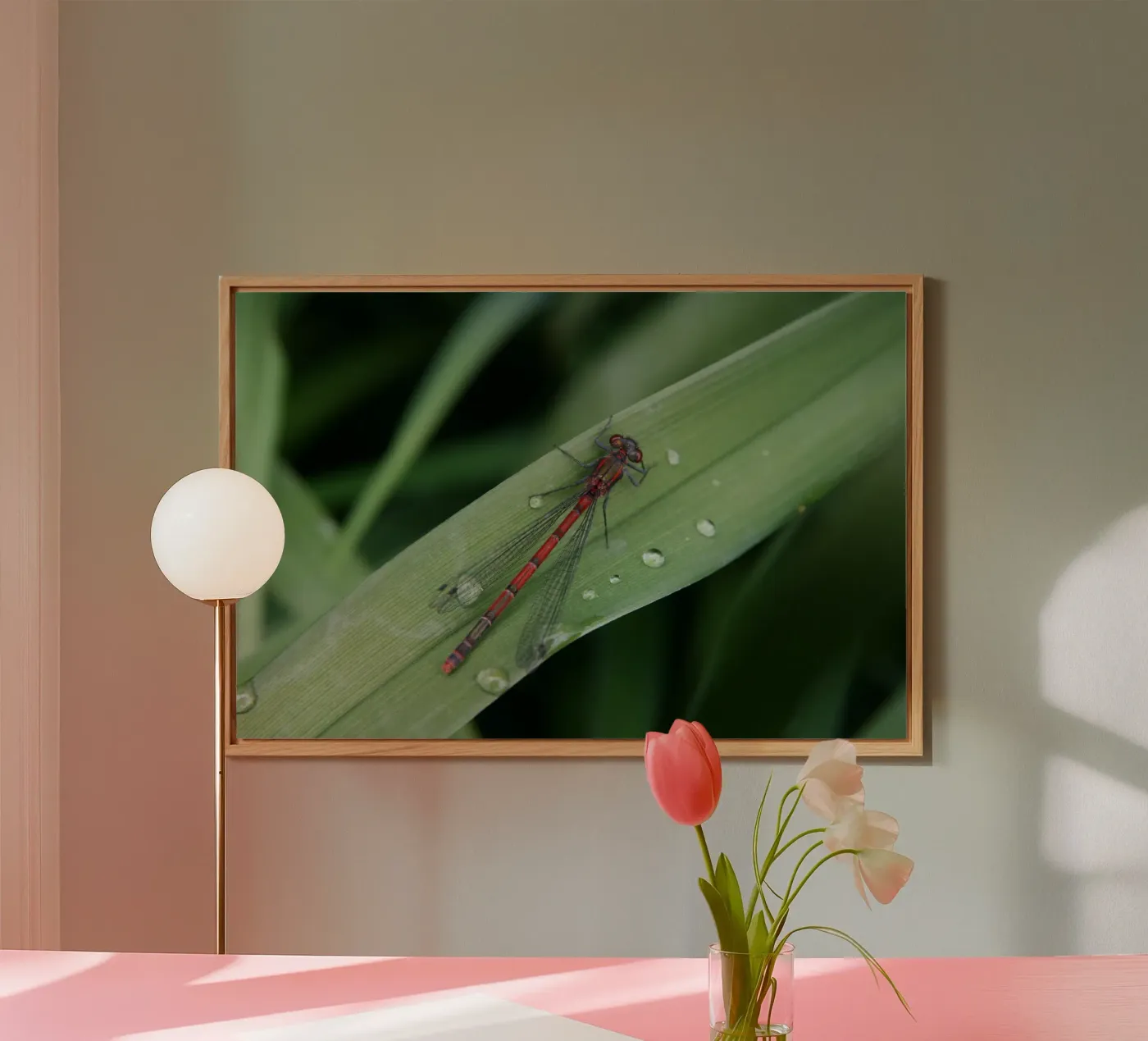 Libellula alluminio dibond da eyes & tries