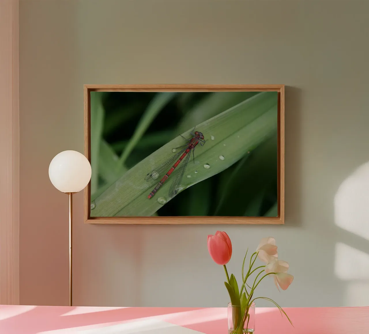 Libellula tela da eyes & tries