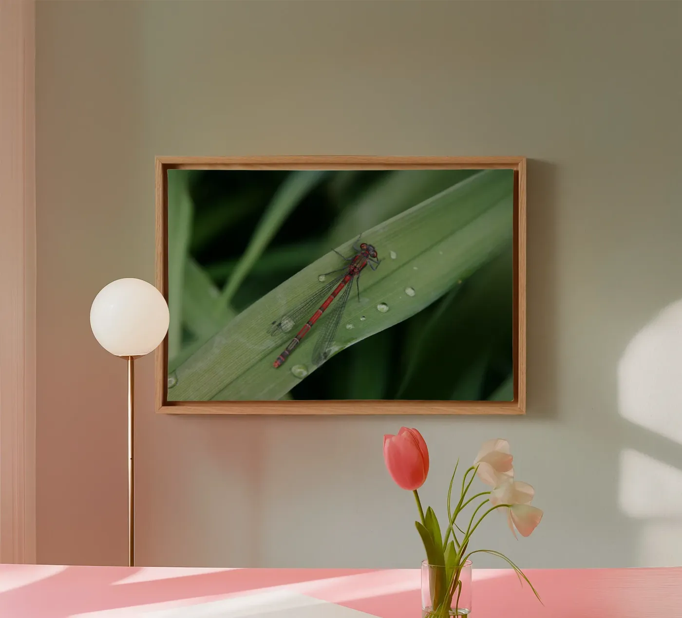 Dragonfly tela da eyes & tries