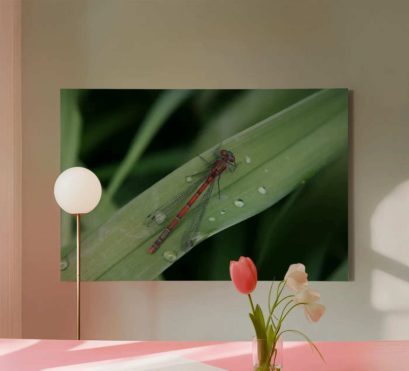 Dragonfly tela da eyes & tries