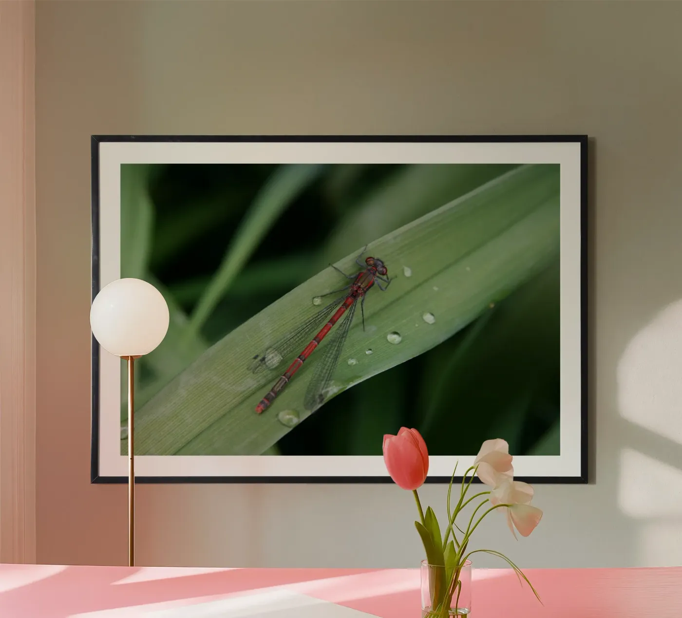 Libellula poster da eyes & tries