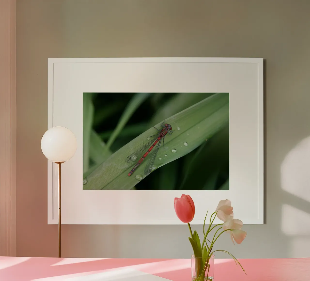 Libelle poster van eyes & tries