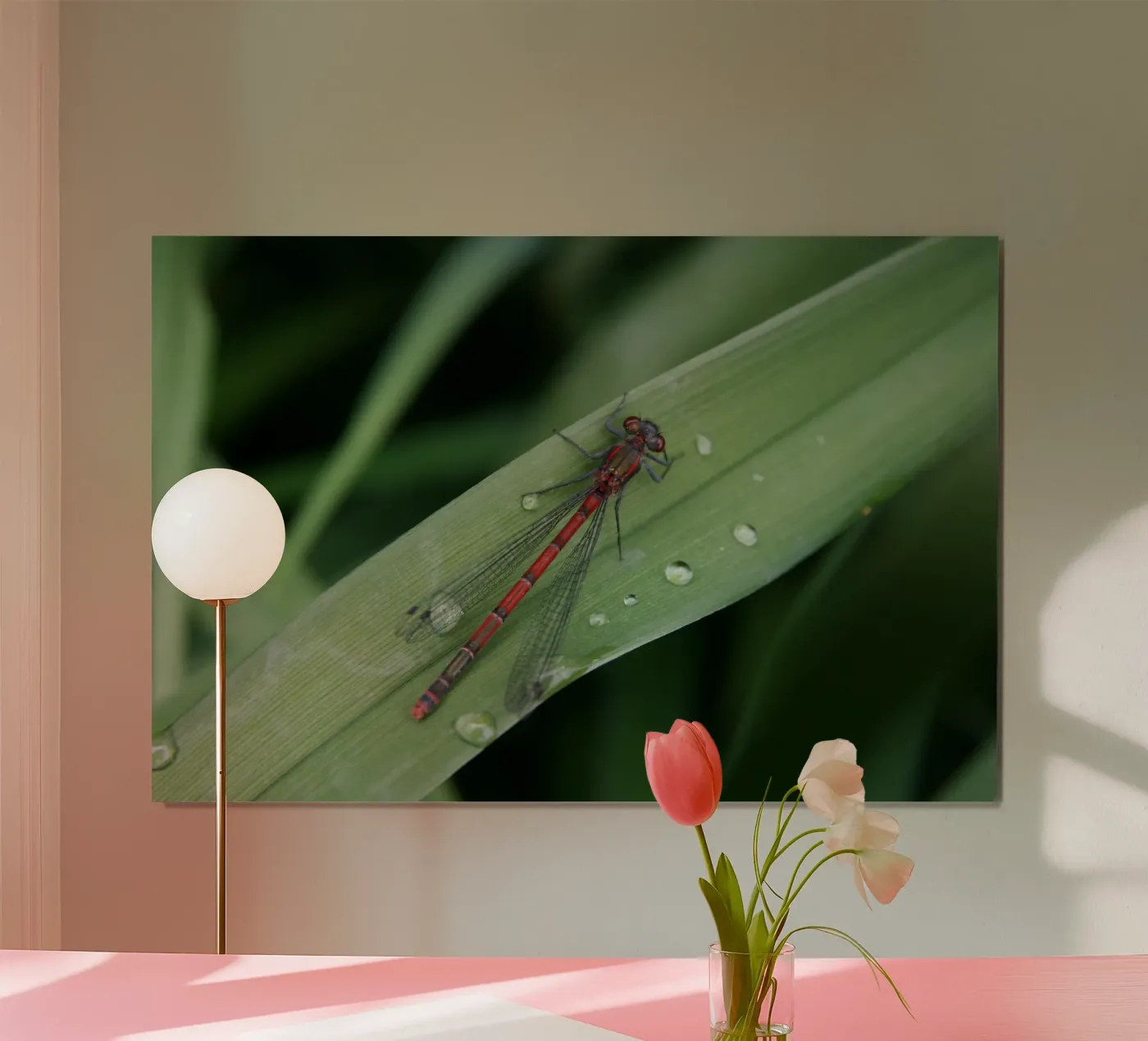 Libellula poster da eyes & tries