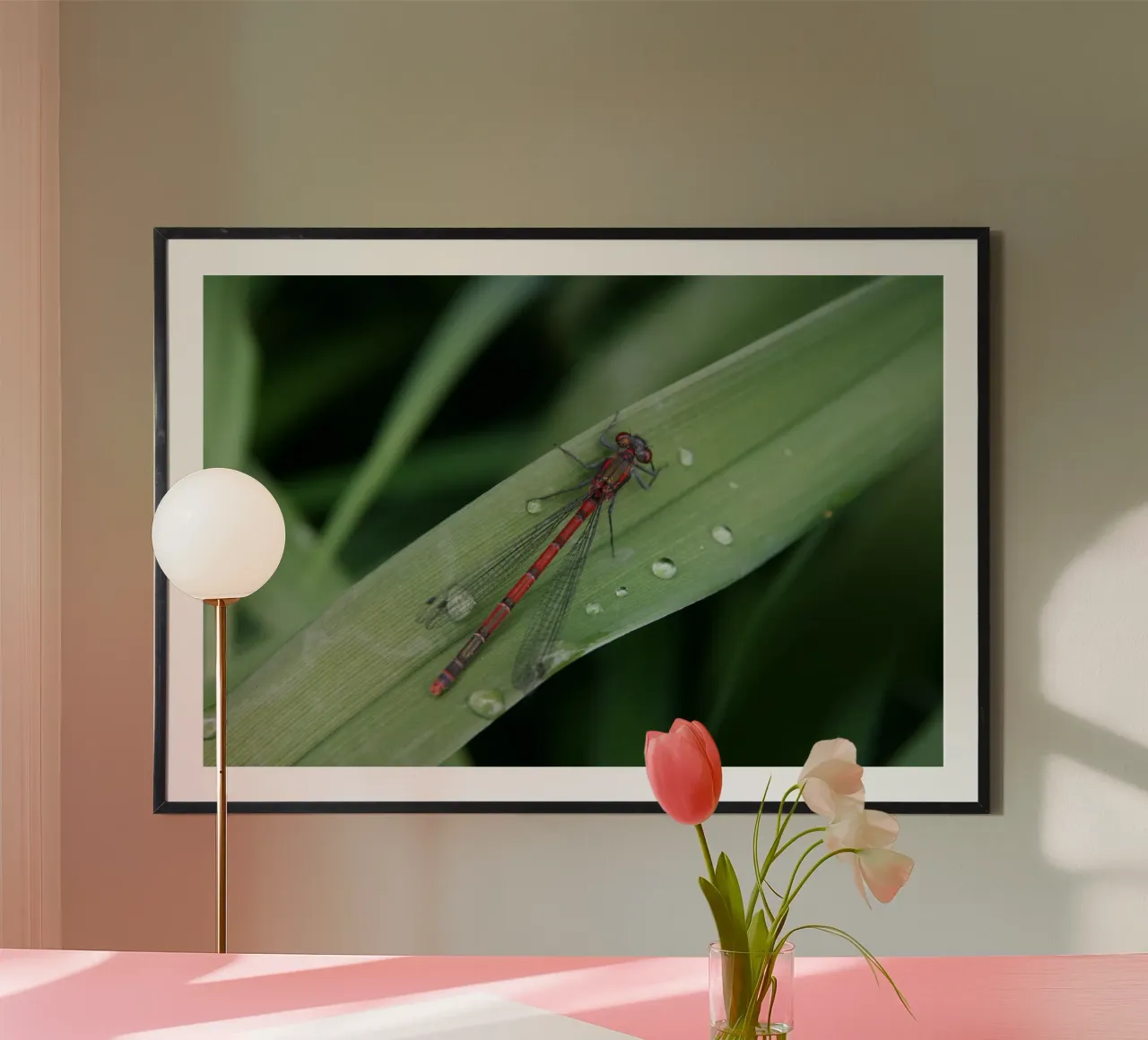 Libelle poster van eyes & tries