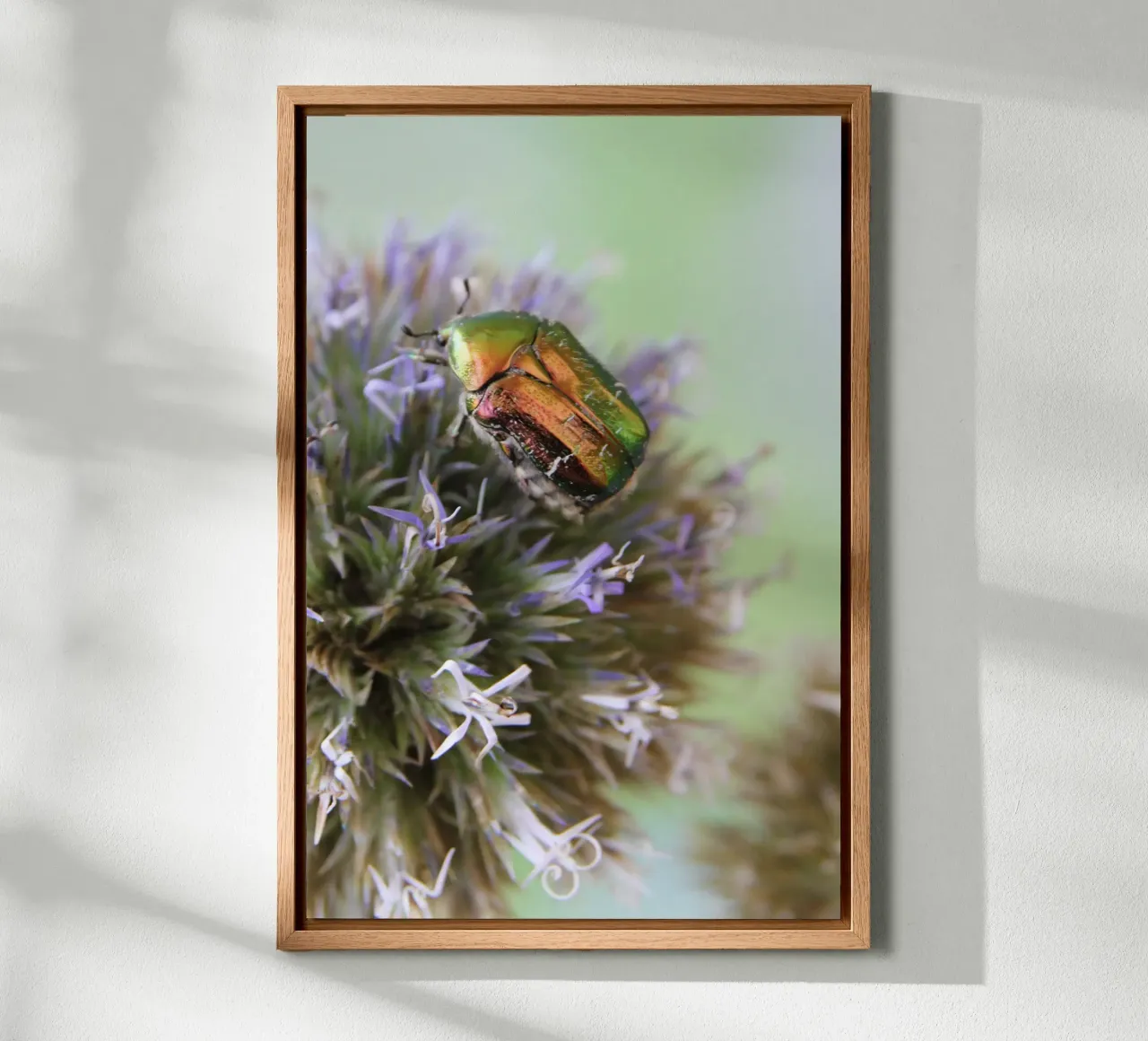 Rosaio tela con Cornice a cassetta da eyes & tries