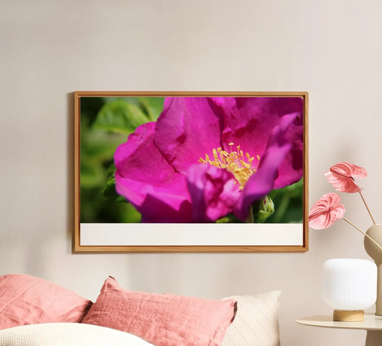 Rosa di Sylt alluminio dibond da eyes & tries
