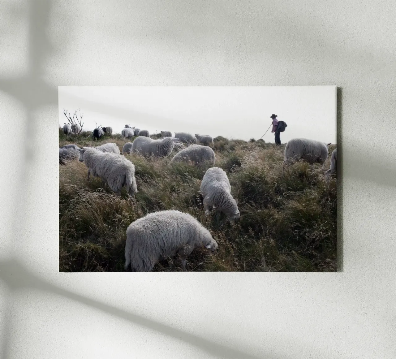 Shepherdess | Island of Sylt canvas with Floater frame by eyes & tries