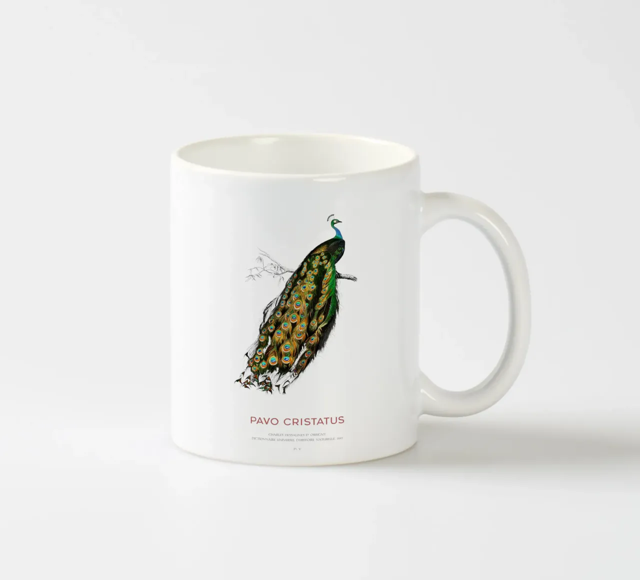 Pavo Cristatus o sordone indiano tazza in ceramica da Vintagrafica
