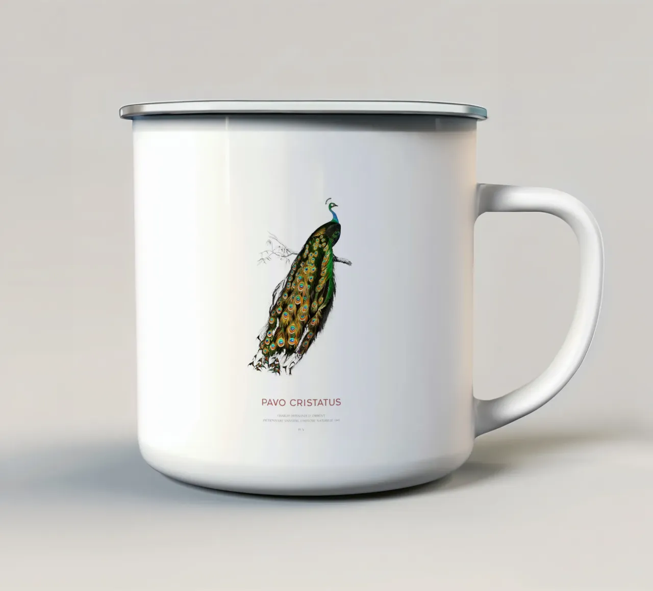 Pavo Cristatus o sordone indiano tazza in smalto da Vintagrafica