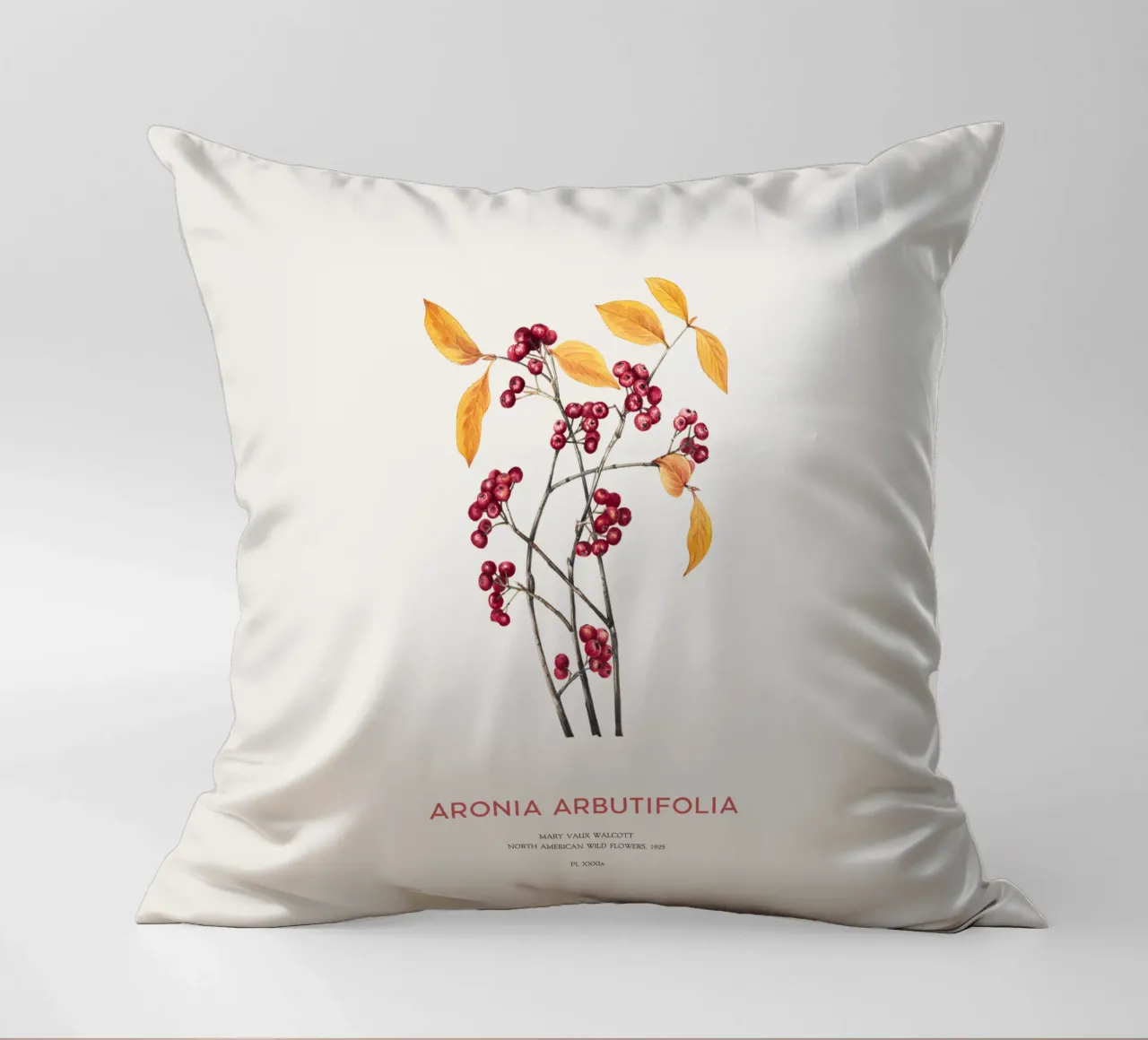 Aronia rossa o Arbutifolia cuscino da Vintagrafica