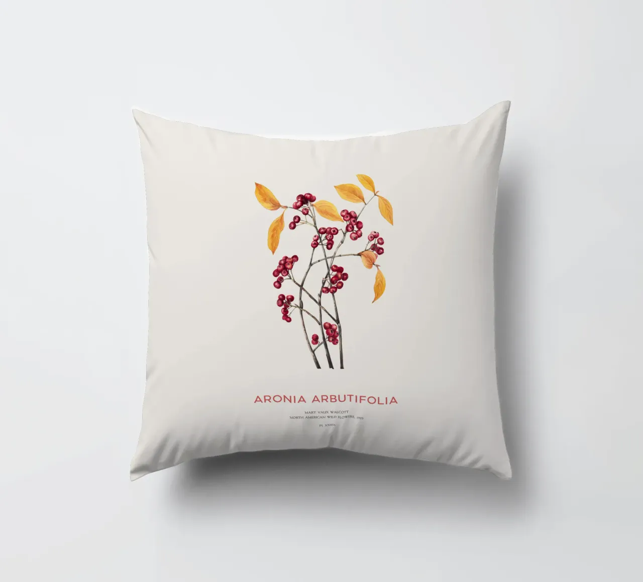 Aronia rossa o Arbutifolia cuscino da Vintagrafica