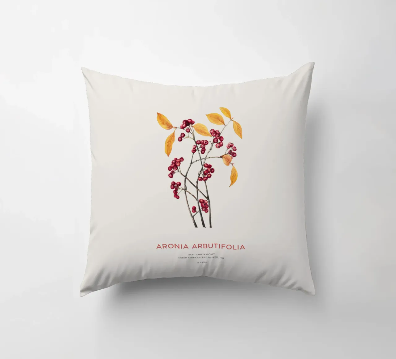 Aronia rossa o Arbutifolia cuscino da Vintagrafica
