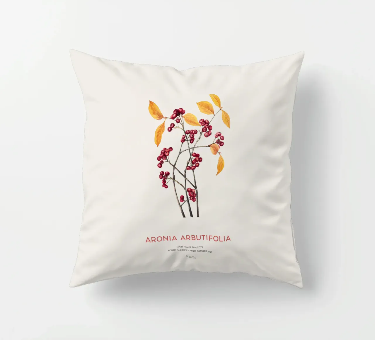 Aronia rossa o Arbutifolia cuscino da Vintagrafica