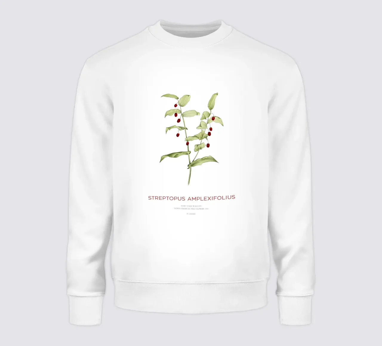 Streptopus Amplexifolius o Streptopus Twistedstalk felpa da Vintagrafica