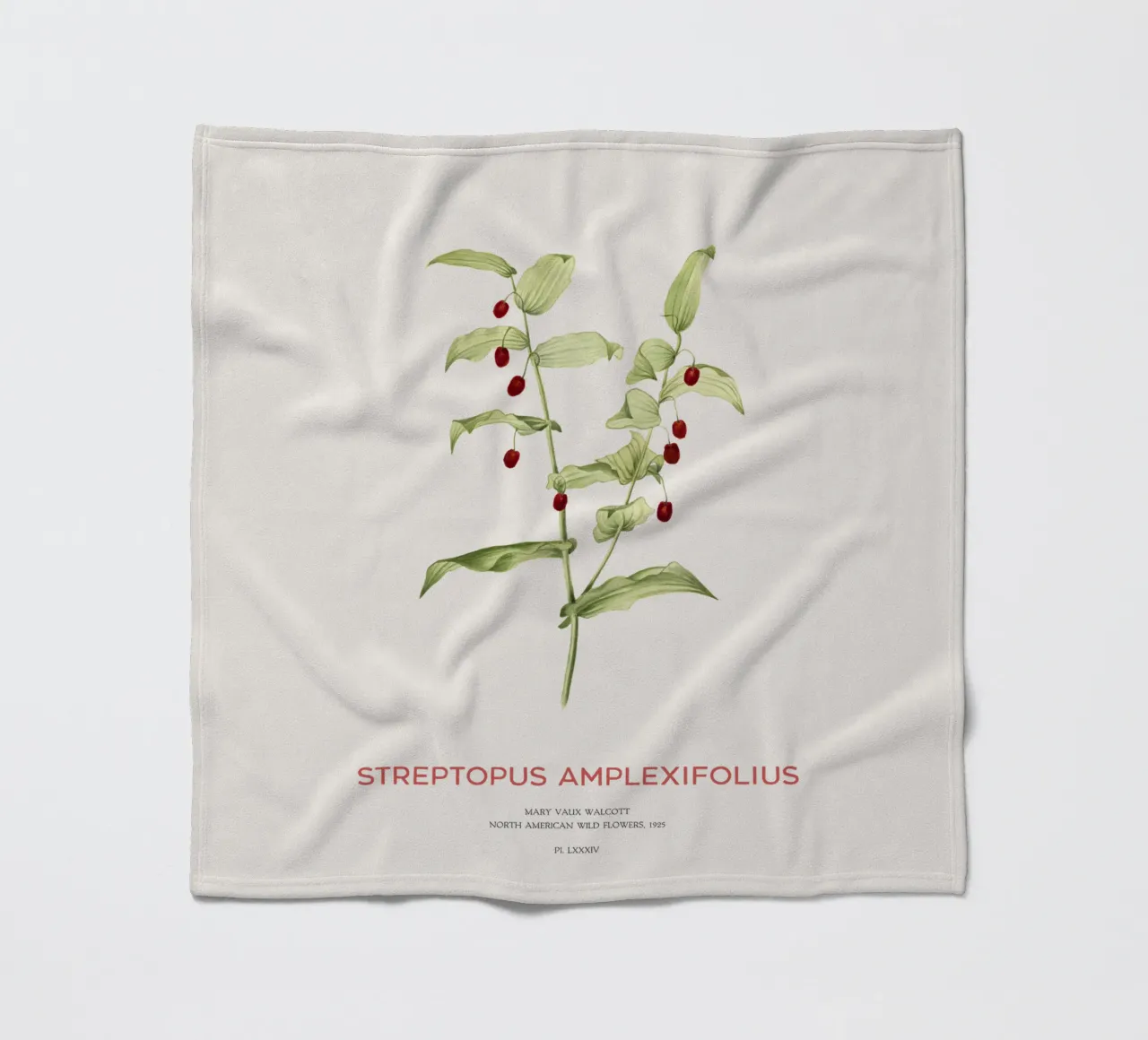 Twistedstalk oder Streptopus Amplexifolius Fleecedecke von Vintagrafica