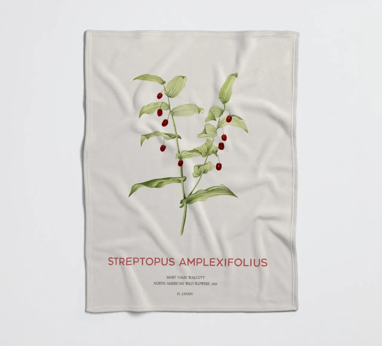 Twistedstalk oder Streptopus Amplexifolius Fleecedecke von Vintagrafica