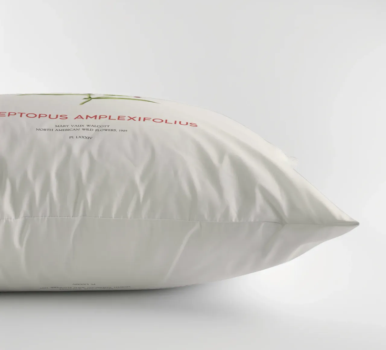 Twistedstalk or Streptopus Amplexifolius decorative cushion by Vintagrafica