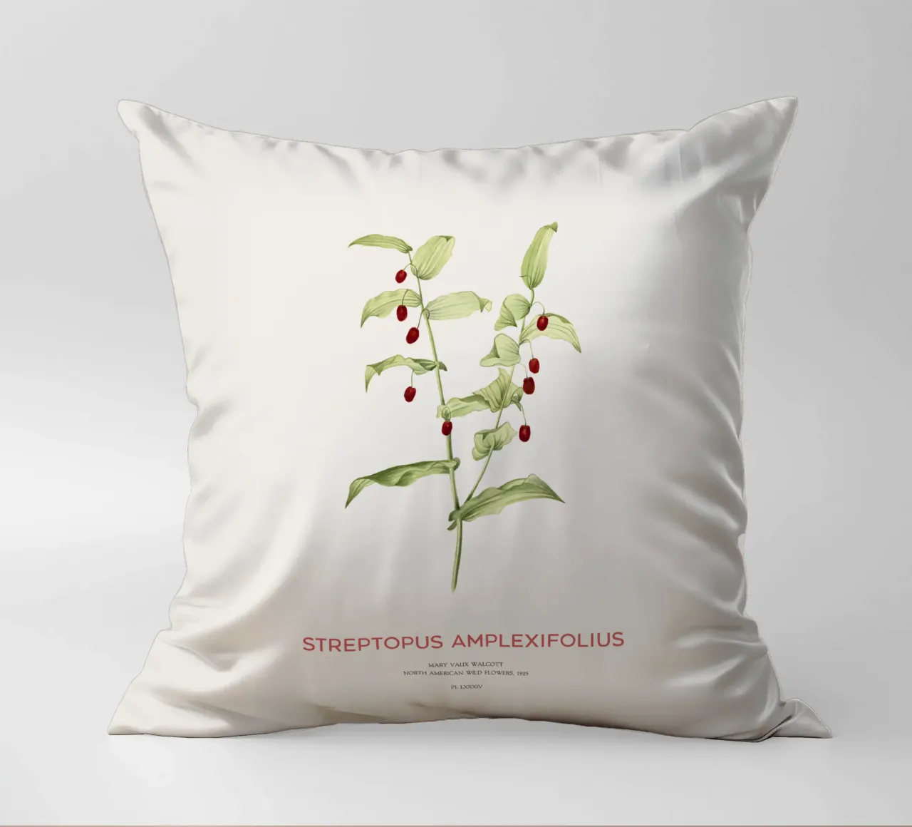 Twistedstalk or Streptopus Amplexifolius decorative cushion by Vintagrafica