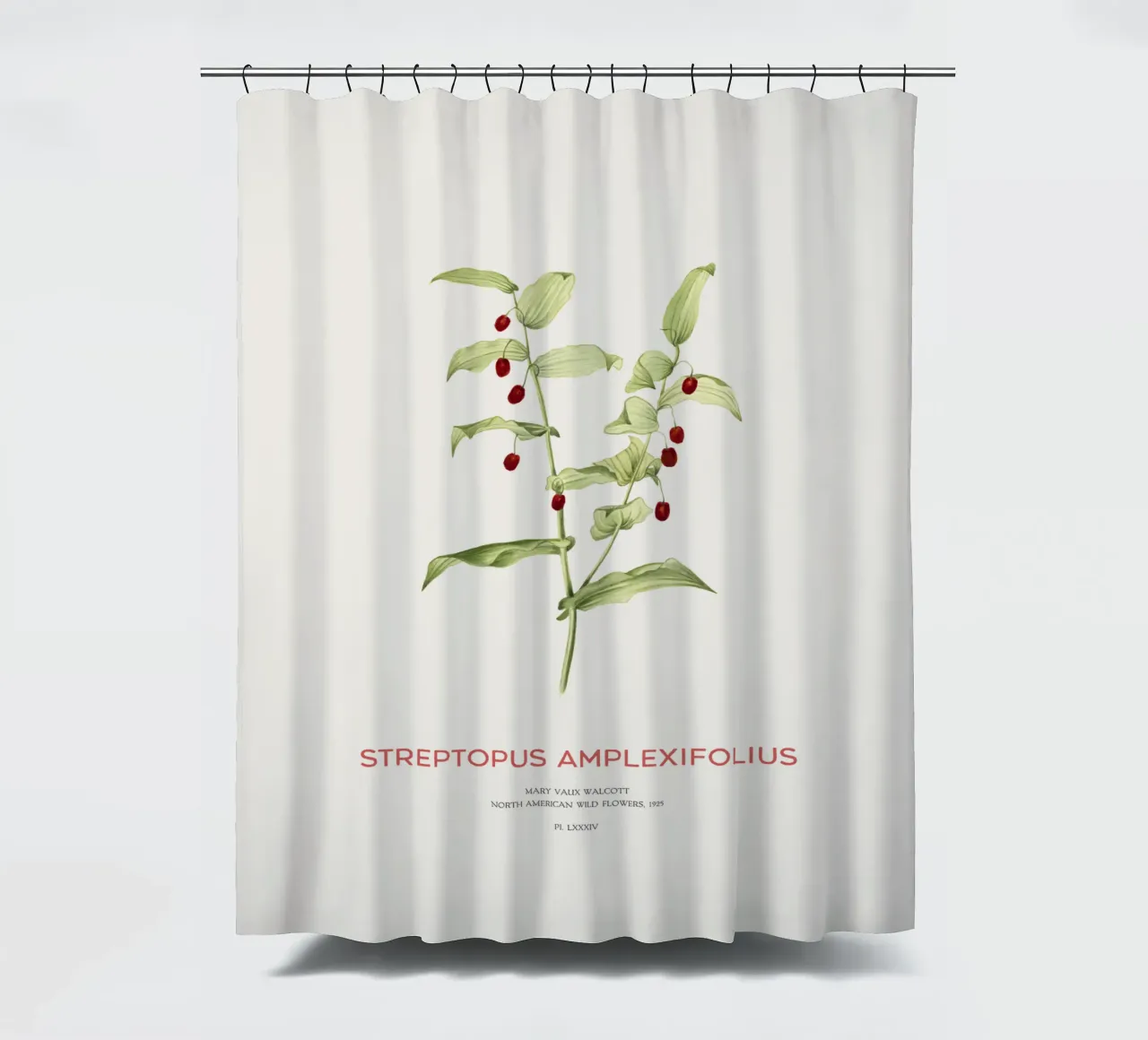 Twistedstalk oder Streptopus Amplexifolius Duschvorhang von Vintagrafica