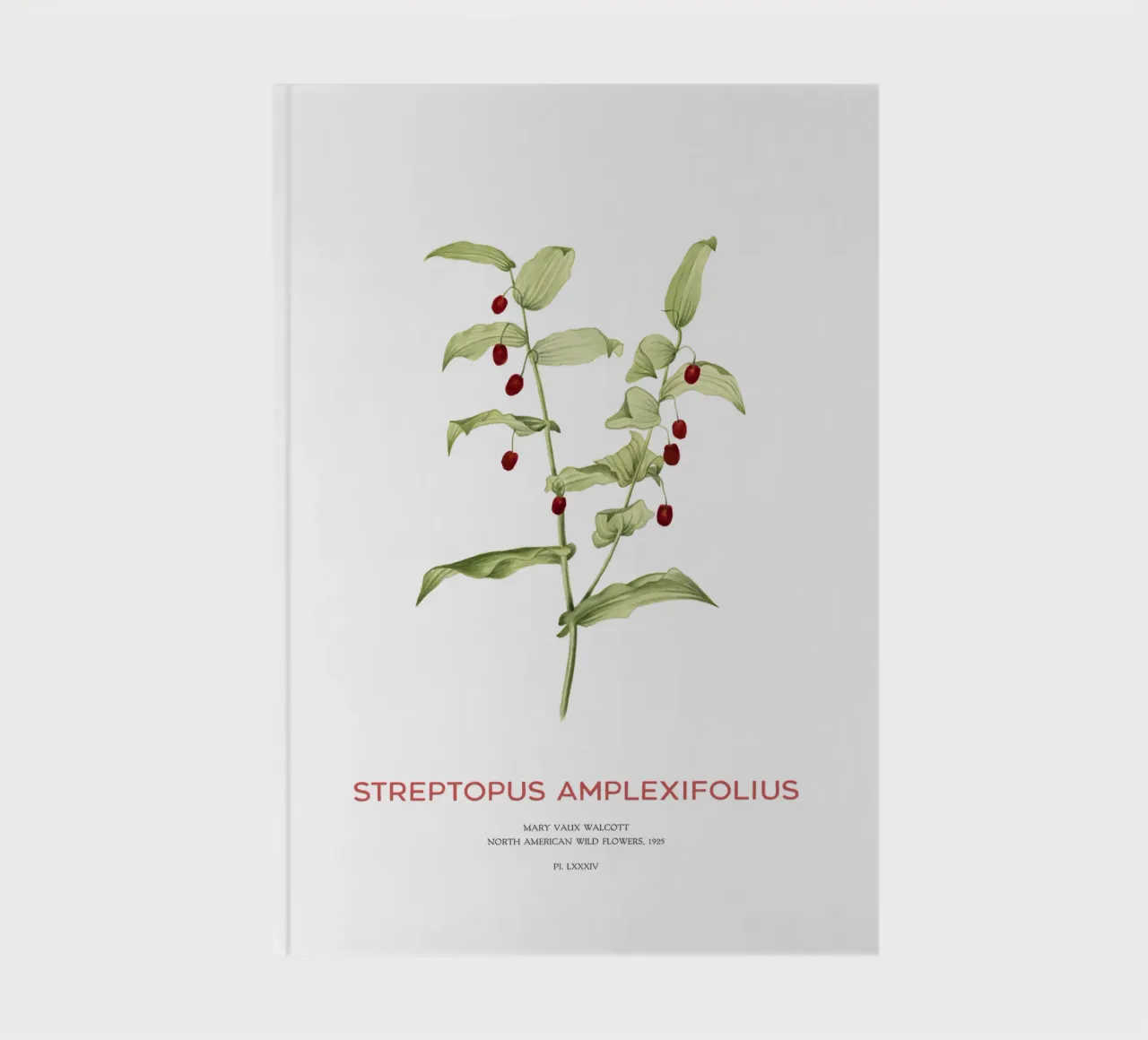 Twistedstalk or Streptopus Amplexifolius notebook by Vintagrafica