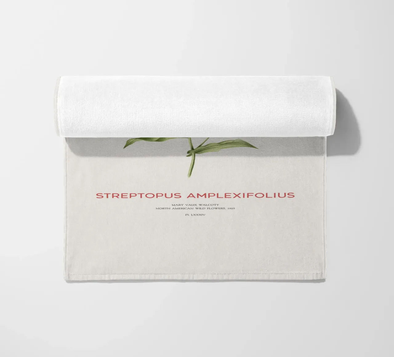 Streptopus Amplexifolius o Streptopus Twistedstalk telo mare da Vintagrafica