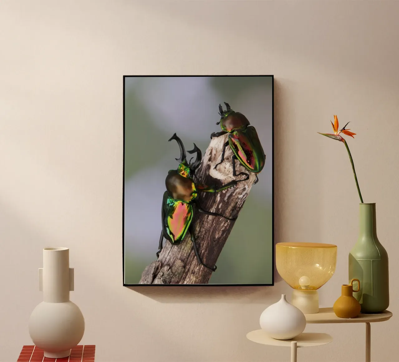 Scarafaggio cervo plexiglass da eyes & tries