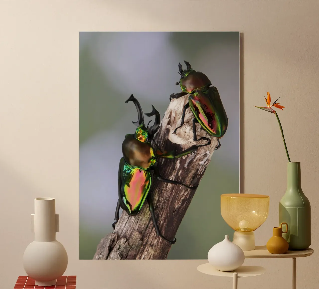 Scarafaggio cervo plexiglass da eyes & tries