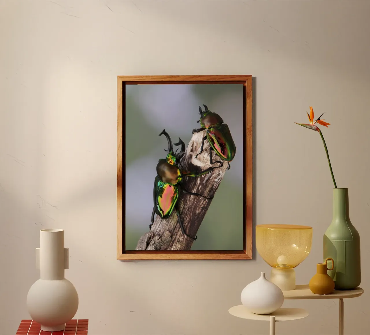 Stag beetle forex plate by eyes & tries