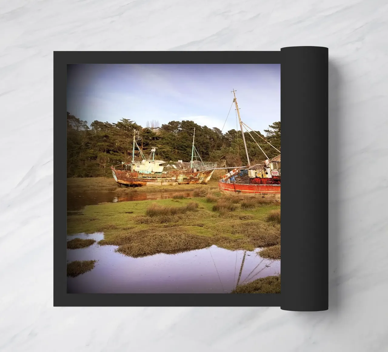 FAA57 zerbino da Thierry vobmann photography