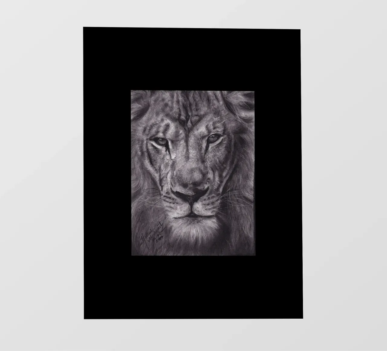 Leone pellicola backlit da H.M. Art