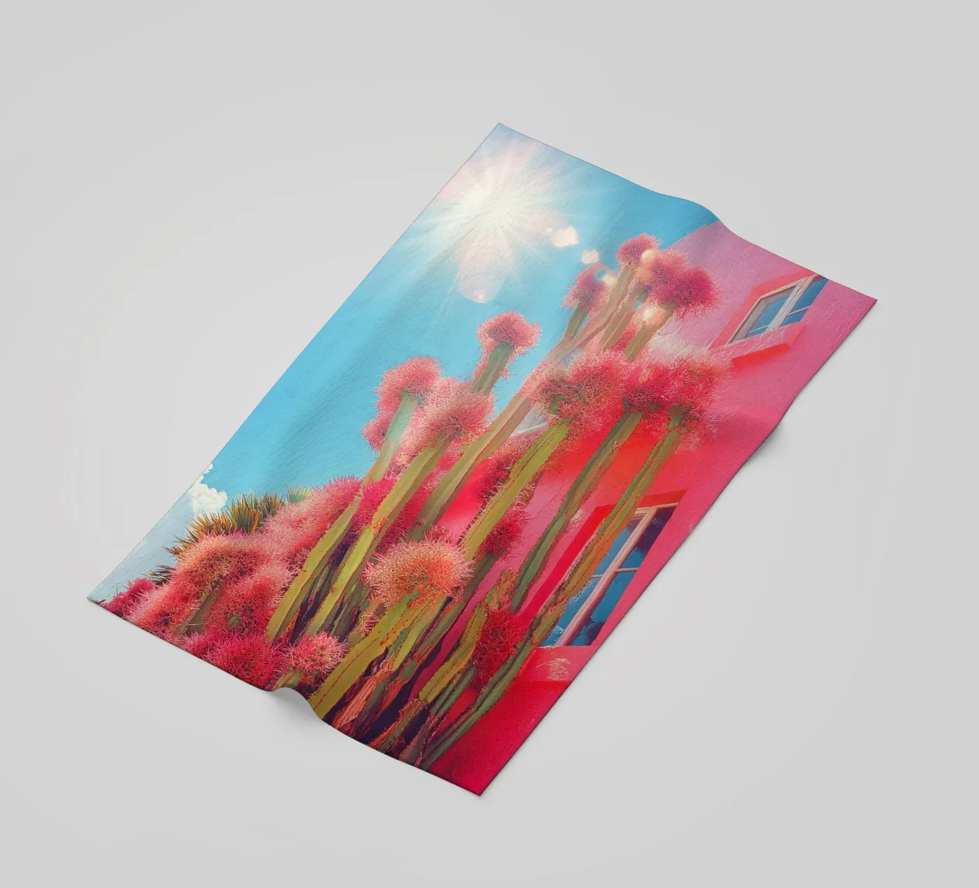 55 telo mare da Pink California | Affiches & Posters