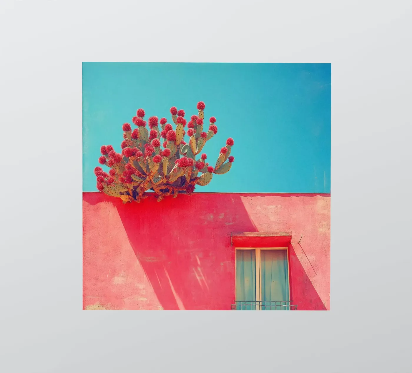 60 sticker by Pink California | Affiches & Posters