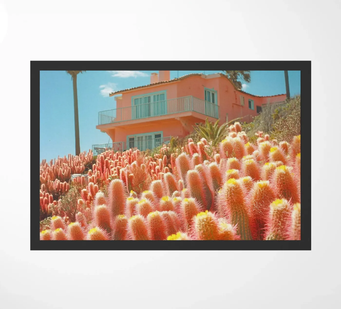 61 zerbino da Pink California | Affiches & Posters