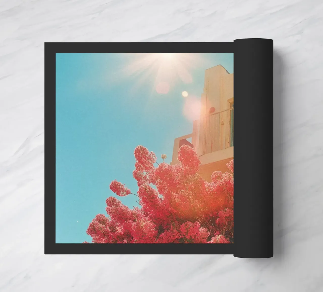 62 zerbino da Pink California | Affiches & Posters