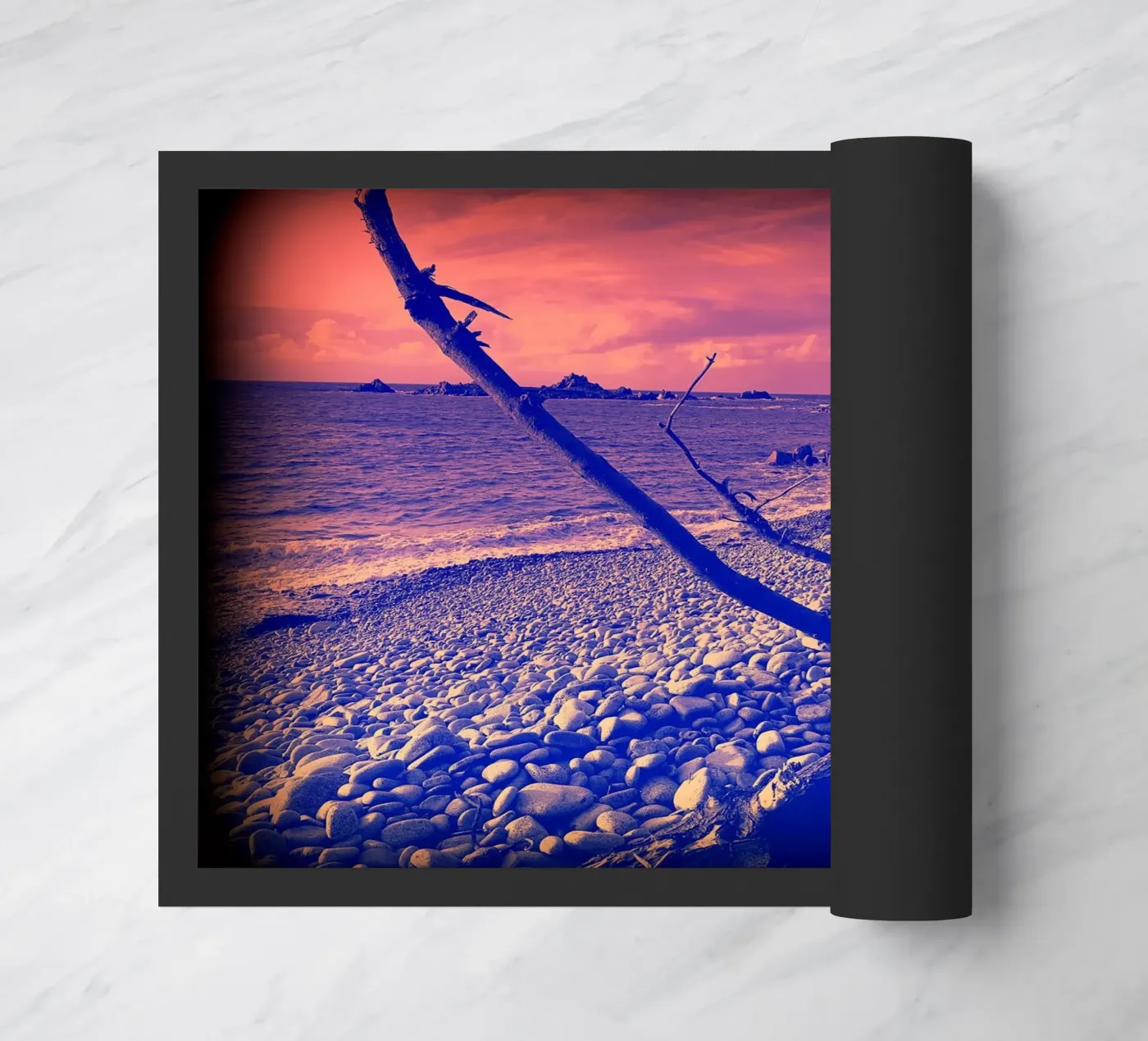 FAA59 zerbino da Thierry vobmann photography