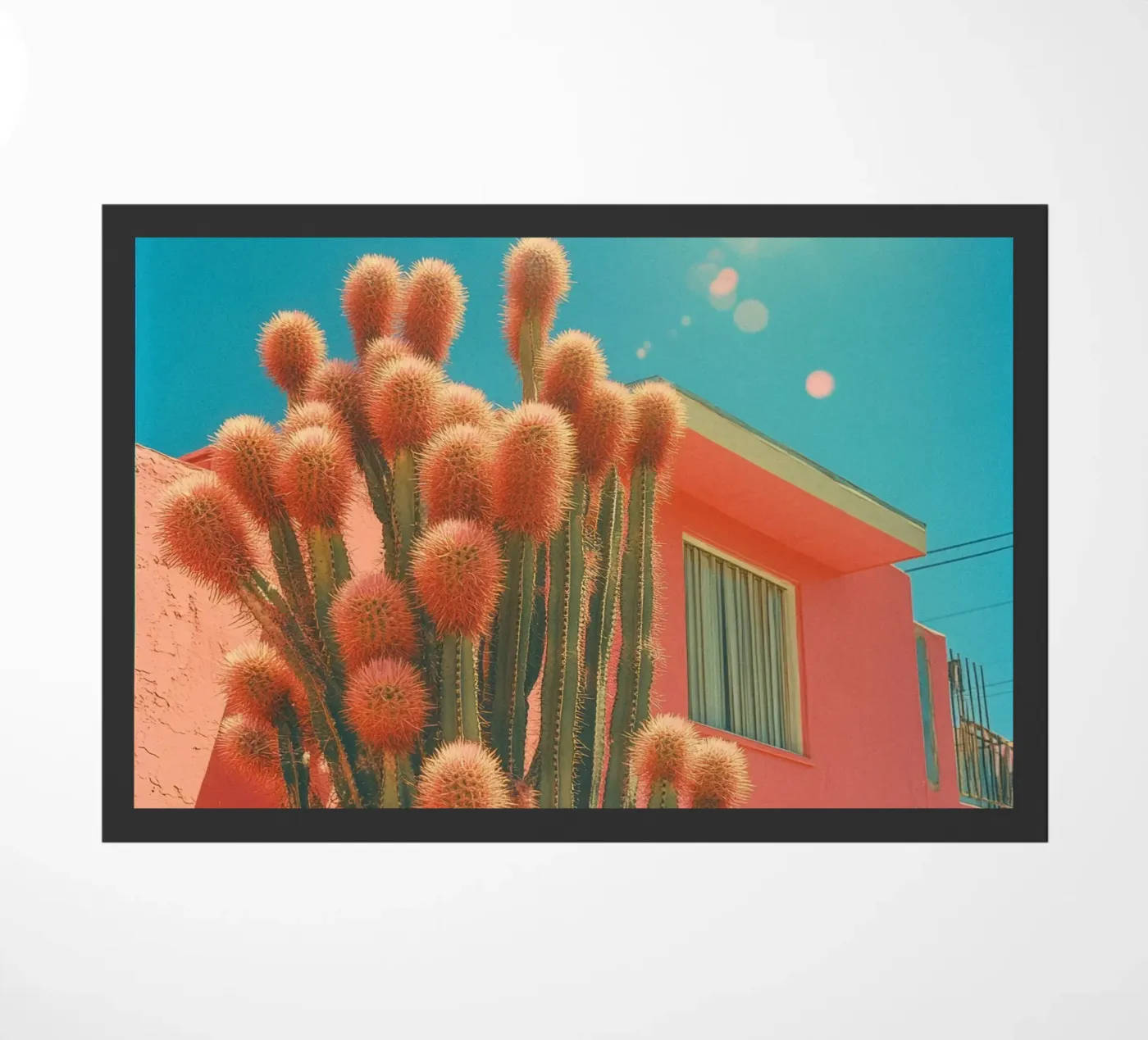 63 deurmat van Pink California | Affiches & Posters