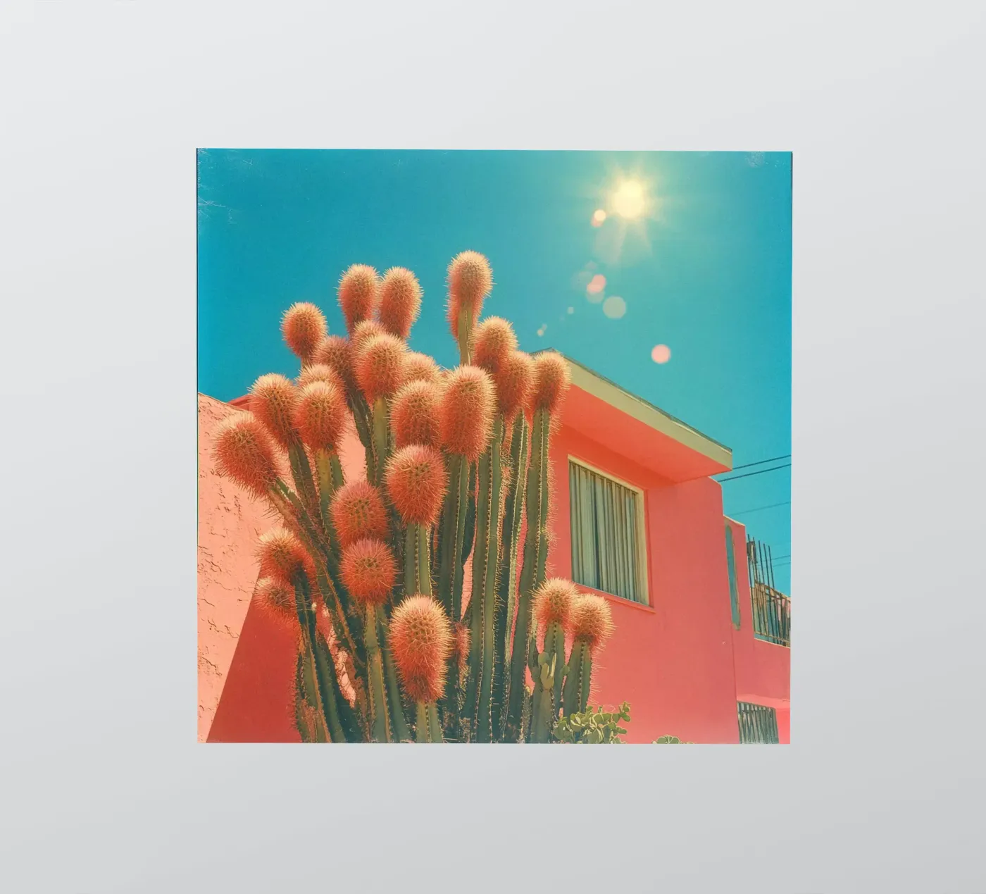 63 sticker by Pink California | Affiches & Posters