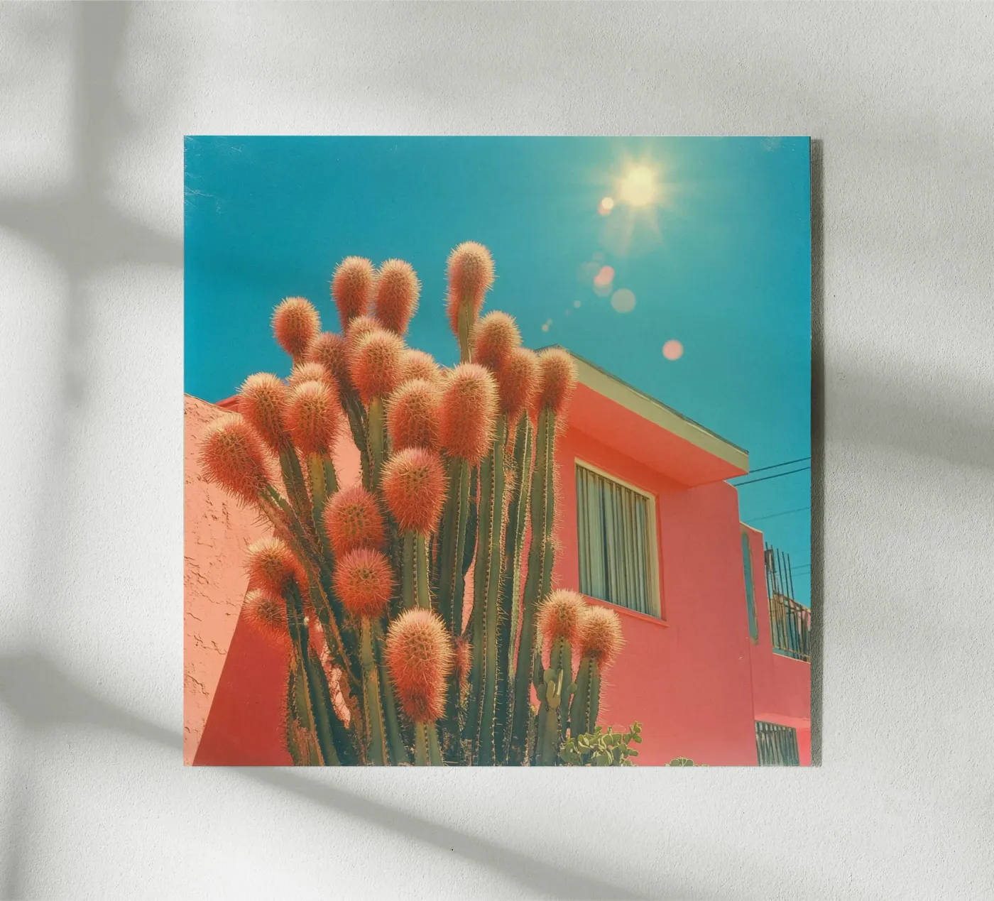 63 plexiglass da Pink California | Affiches & Posters