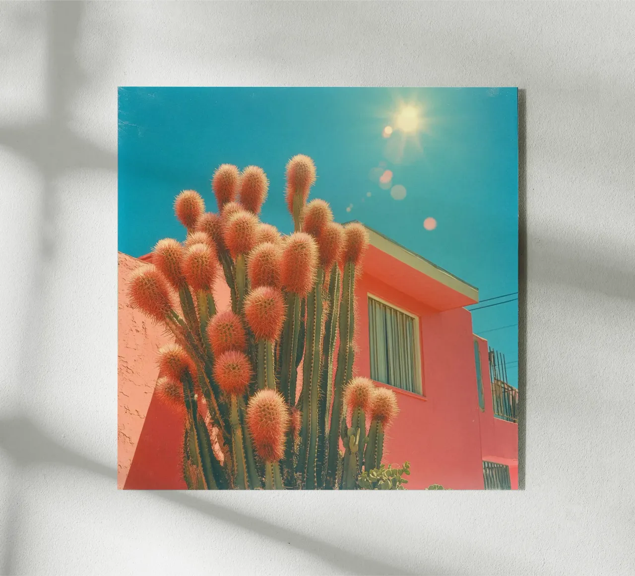 63 plexiglass da Pink California | Affiches & Posters