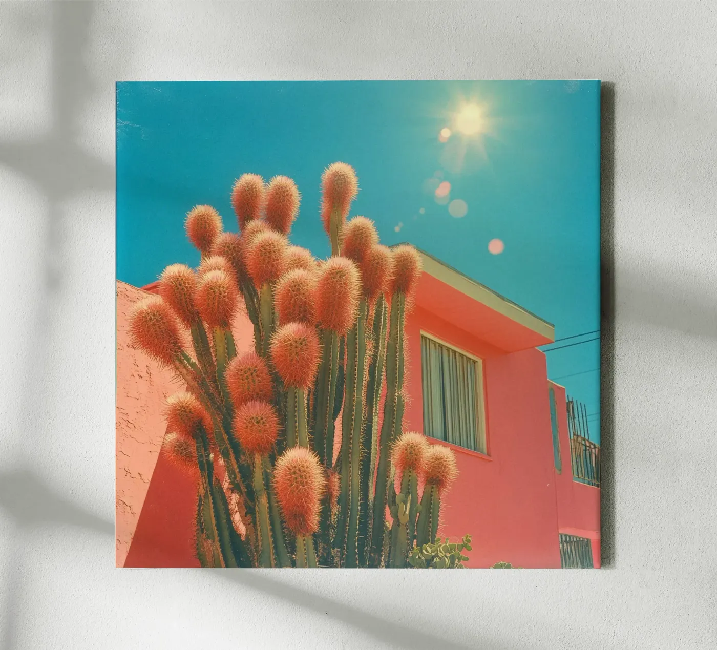 63 tela da Pink California | Affiches & Posters