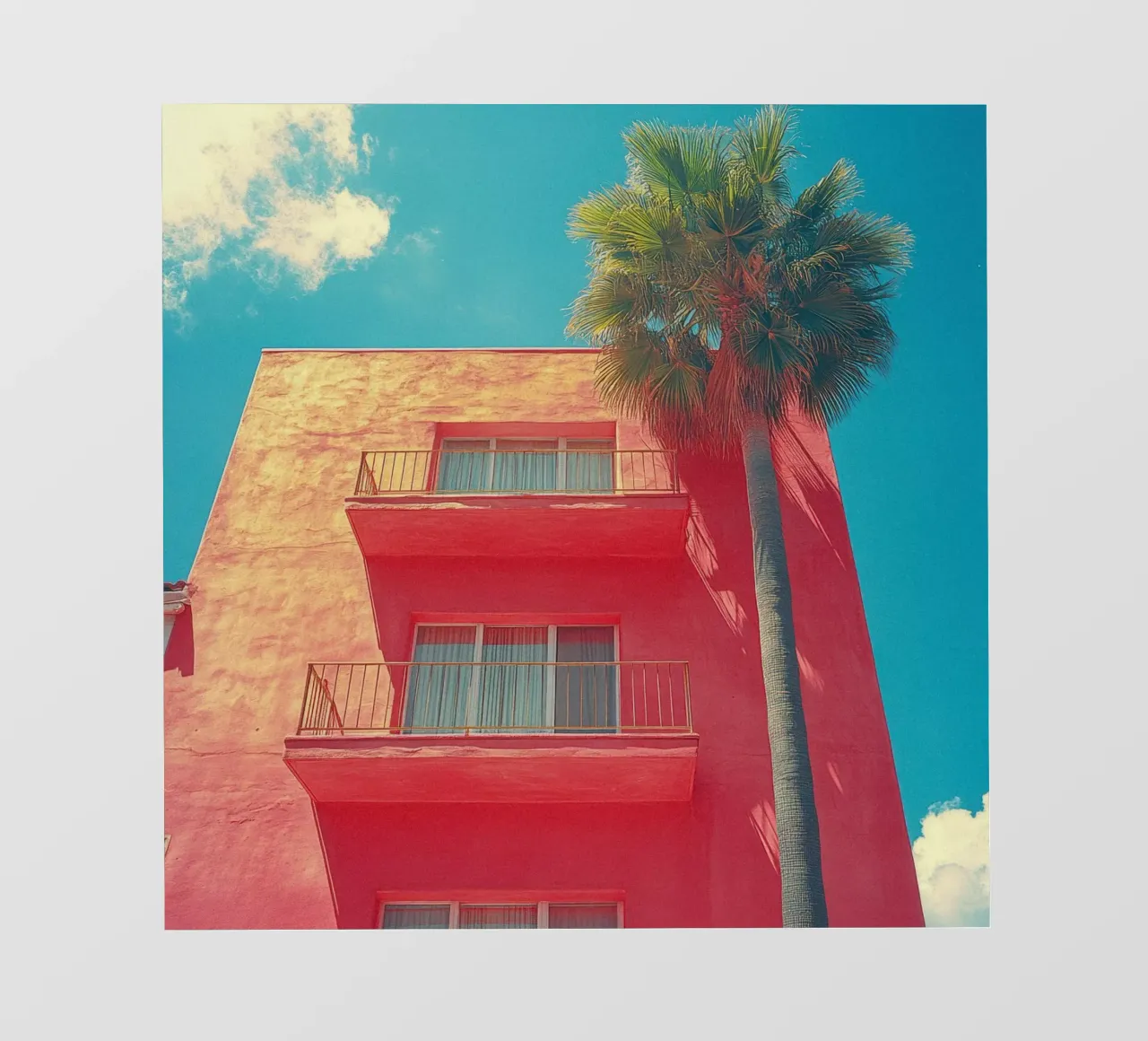 66 pellicola backlit da Pink California | Affiches & Posters