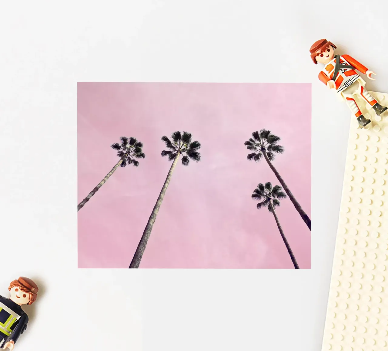 Pink Palms sticker by Cassia Beck Photography
