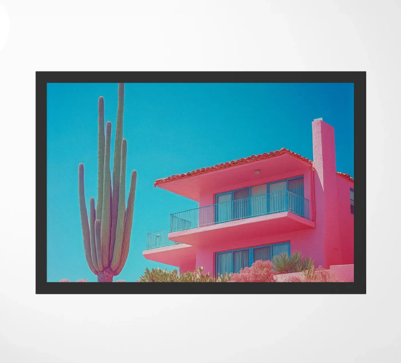 67 zerbino da Pink California | Affiches & Posters