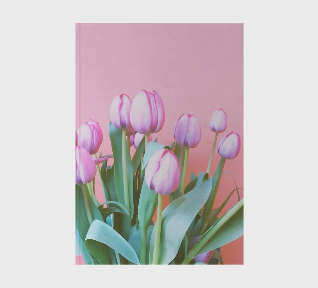 Spring Tulips notebook by Cassia Beck Photography