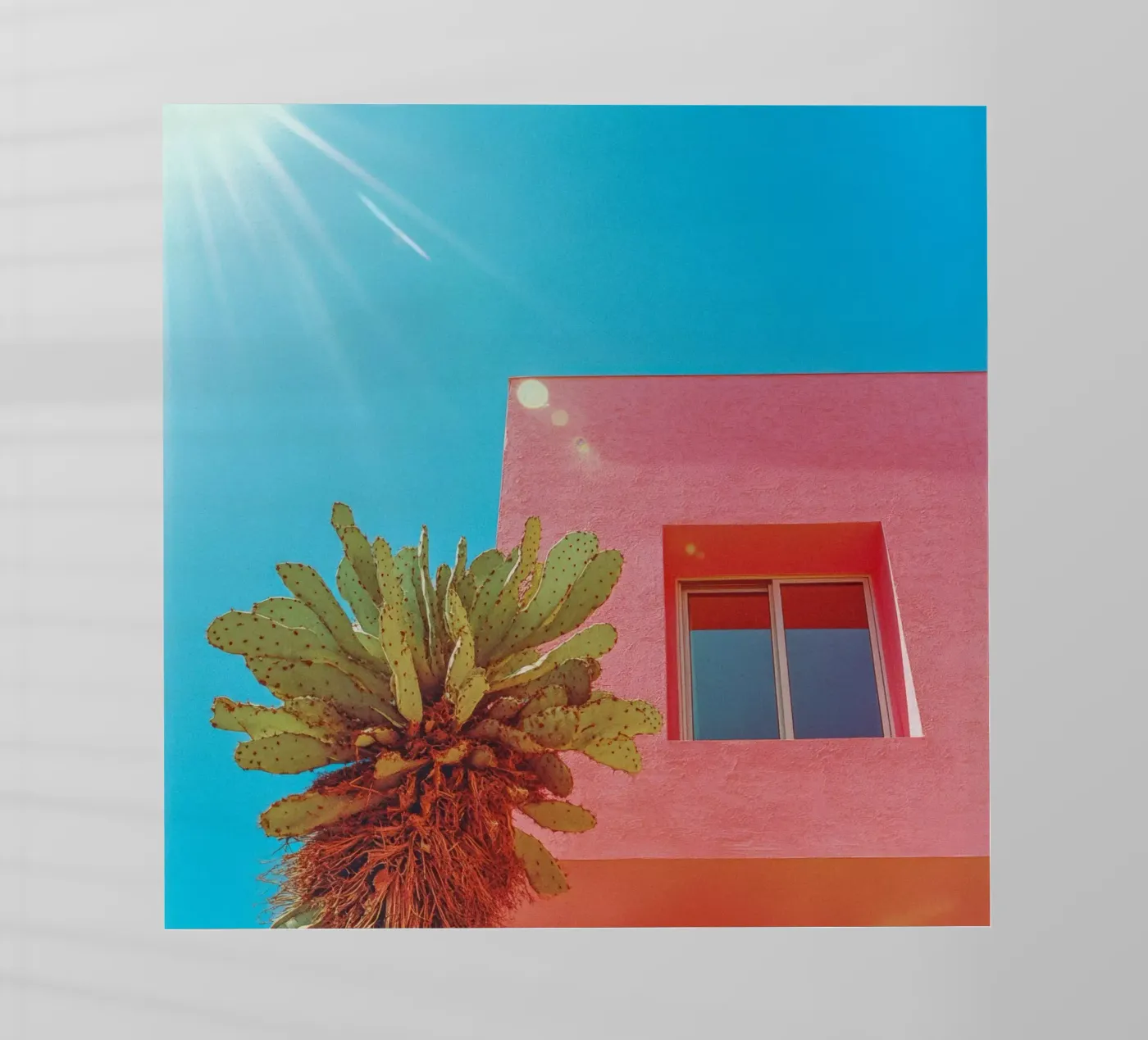 67 Backlit Folie von Pink California | Affiches & Posters