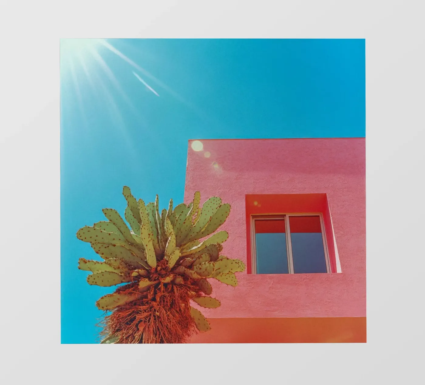 67 Backlit Folie von Pink California | Affiches & Posters